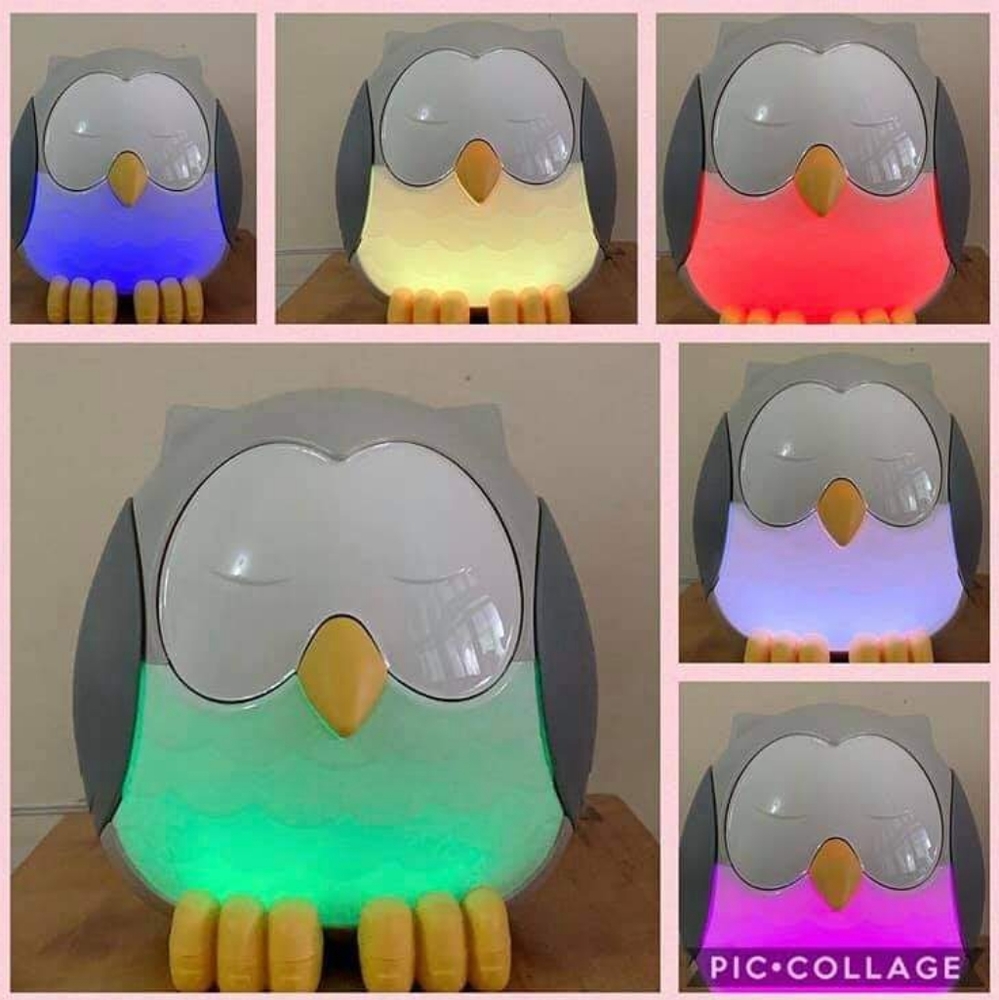 Oil diffuser feather the owl